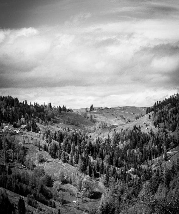 Vitamine C 1000 mg — 60 gélules